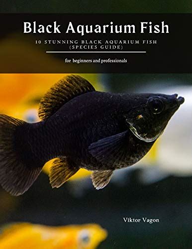 10 Stunning Black Aquarium Fish (Species Guide).